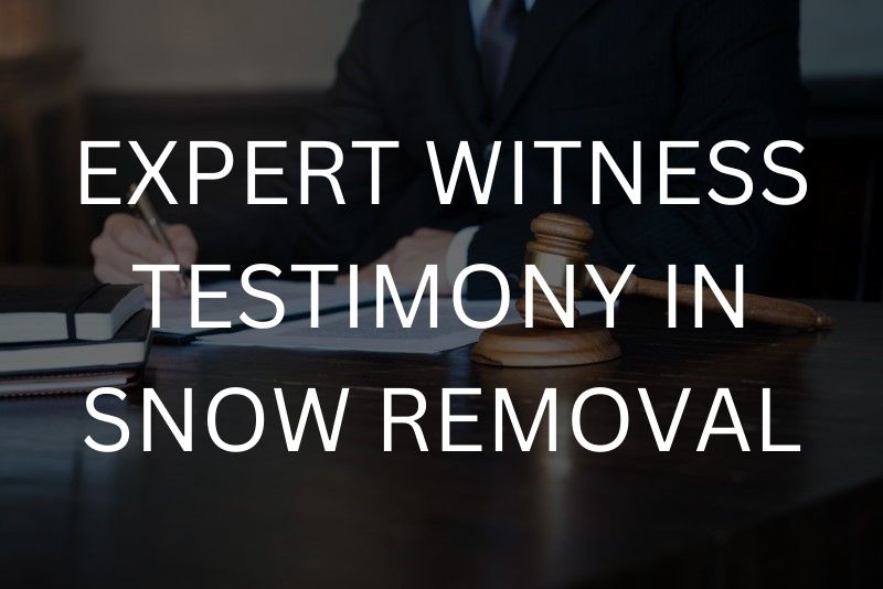 Expert witness testimony in snow removal
