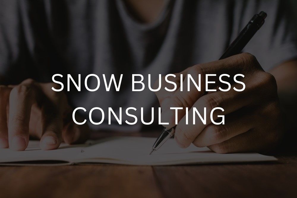Snow business consulting
